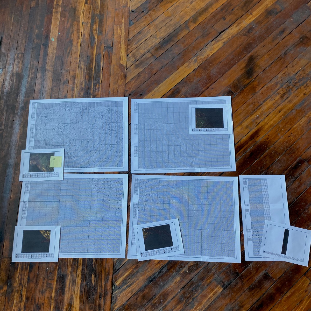 Strigops habroptilus