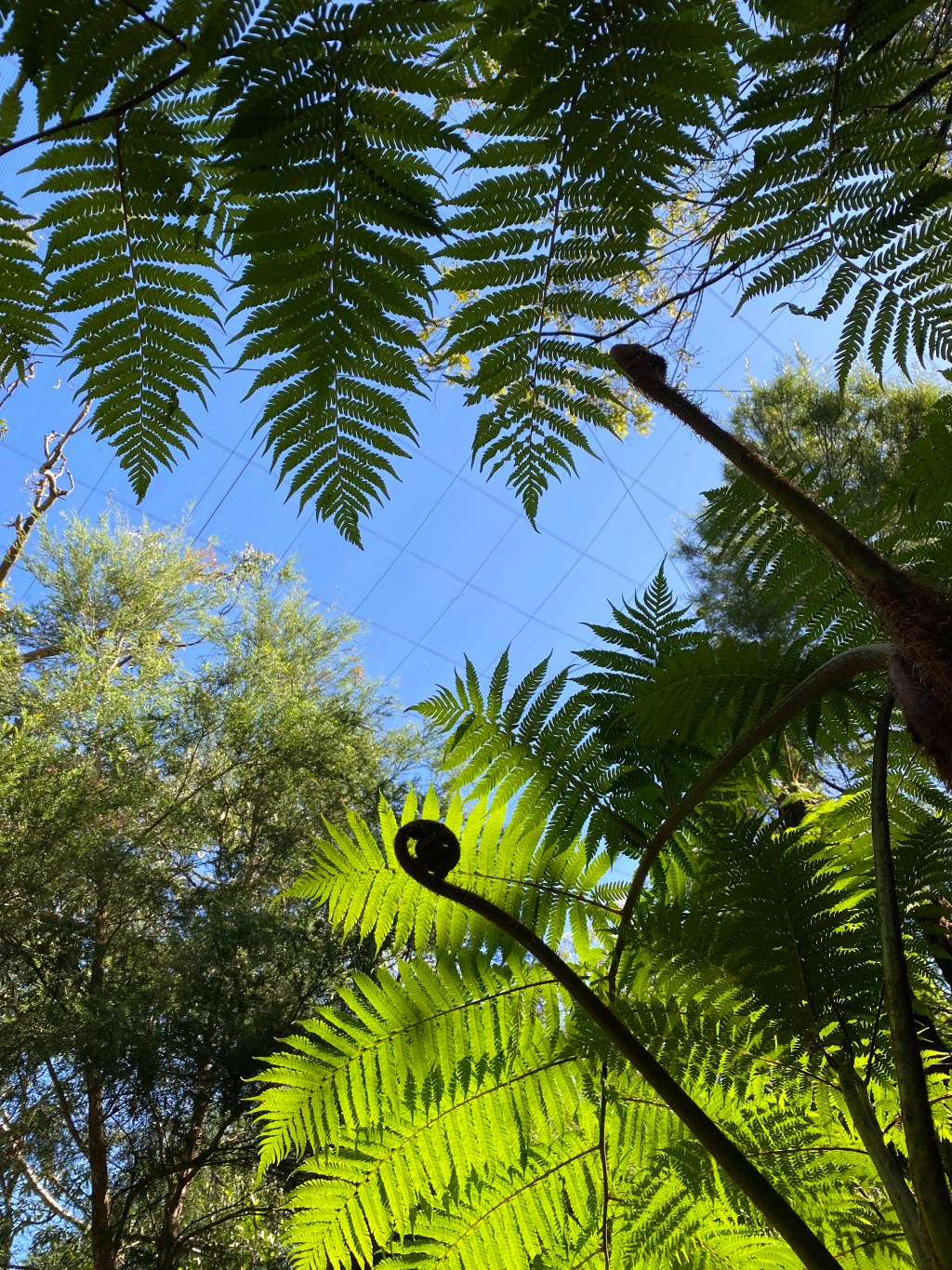 TR Taronga Zoo field report&nbsp;#1