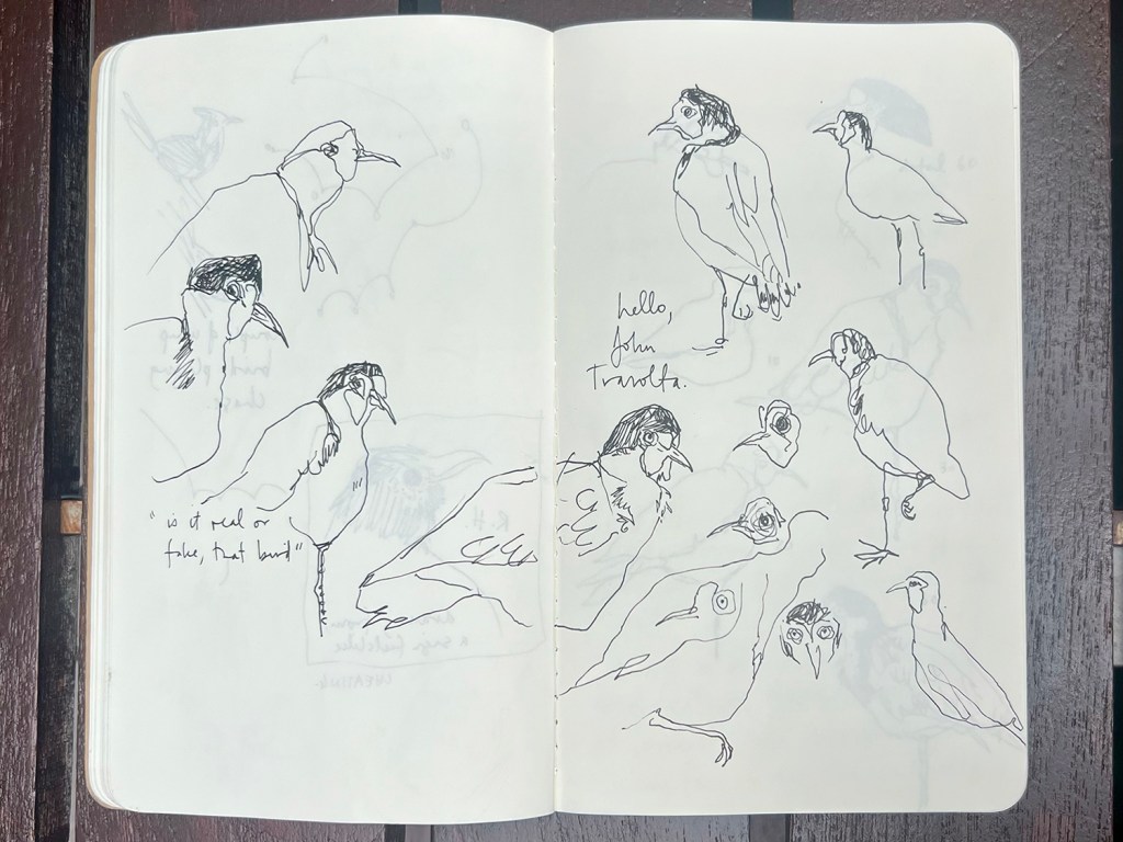 All the lapwings are called&nbsp;John